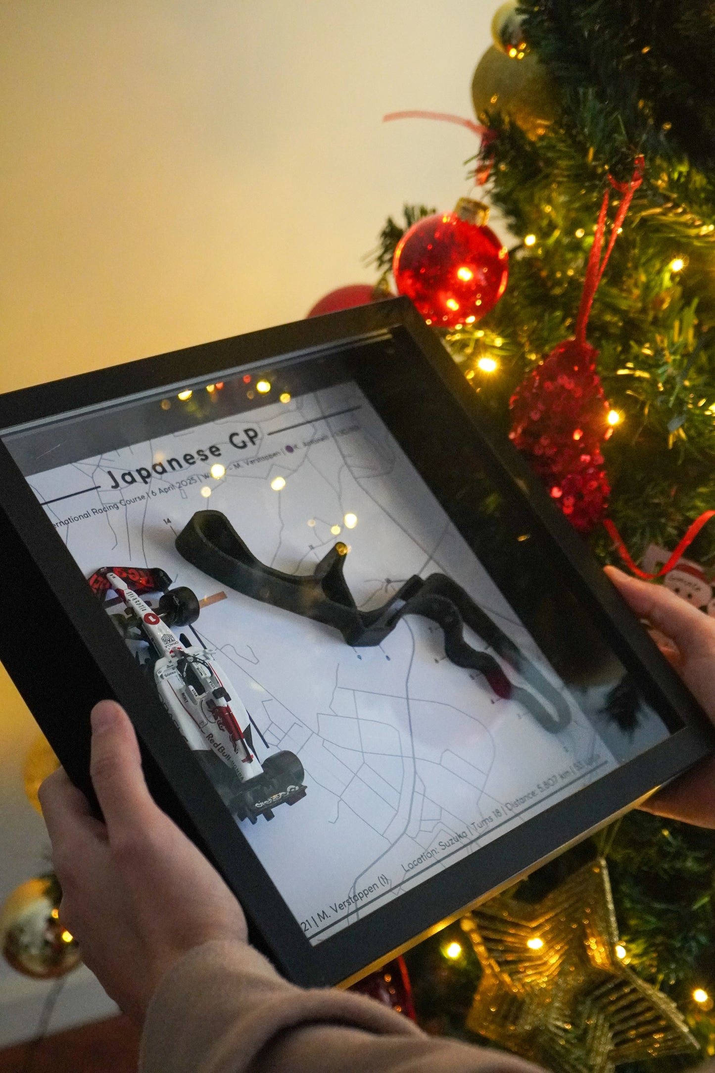 Verstappen Japan 2025