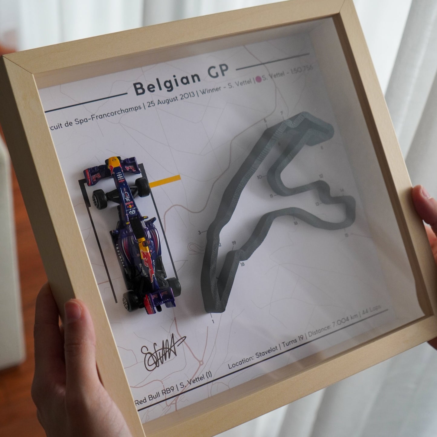 Vettel Belgium 2013